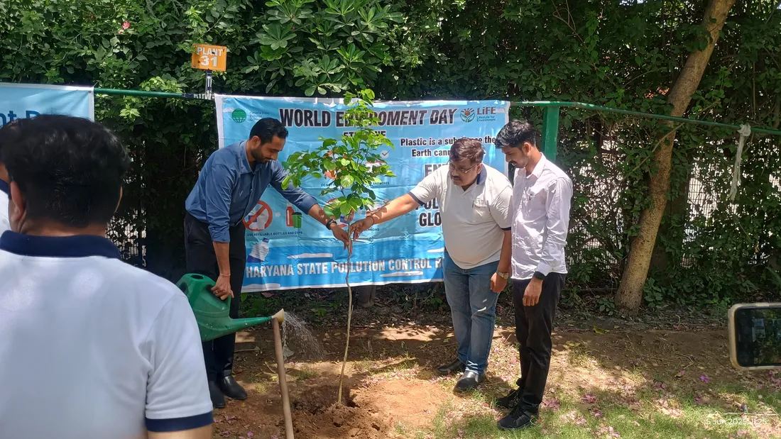 Employees planting saplings on World Environment Day
