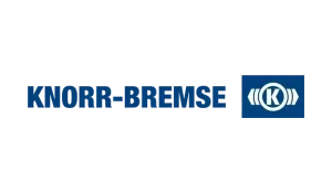 Knorr